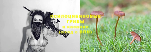 ECSTASY Горняк