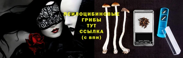ECSTASY Горняк