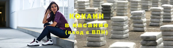 ECSTASY Горняк