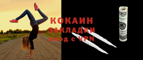 ешки Вяземский