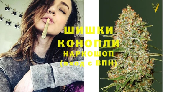 СК Семилуки
