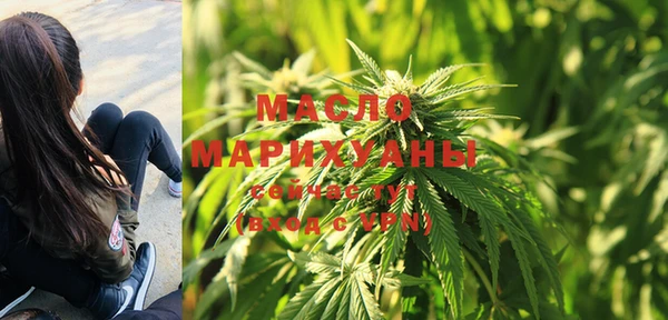 ешки Вяземский
