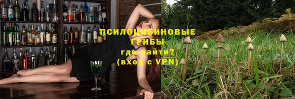 ешки Вяземский