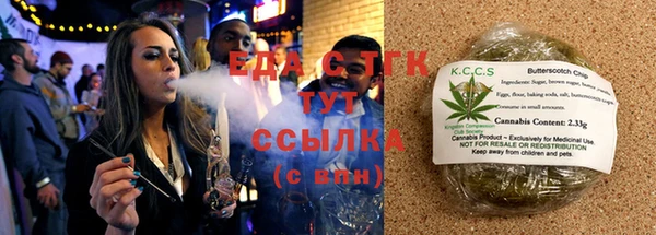 ECSTASY Горняк