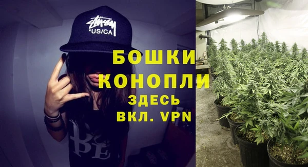 крисы Слюдянка