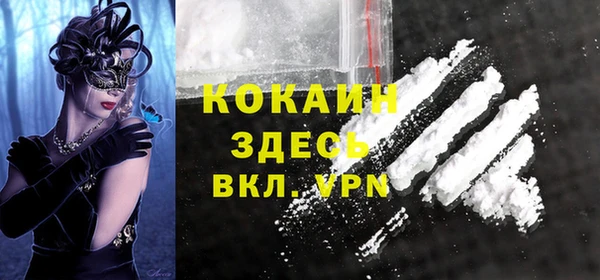 ECSTASY Горняк