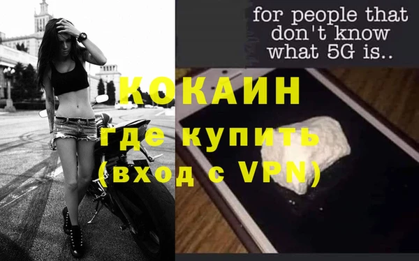 ECSTASY Горняк