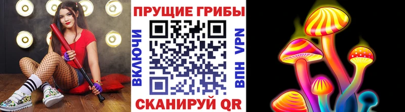 hydra ТОР  дарнет шоп  Богородицк  Псилоцибиновые грибы мицелий 