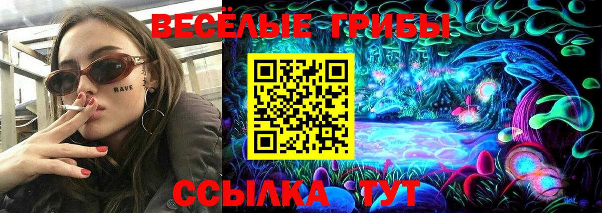 Псилоцибиновые грибы MAGIC MUSHROOMS  Богородицк  Псилоцибиновые грибы мицелий 