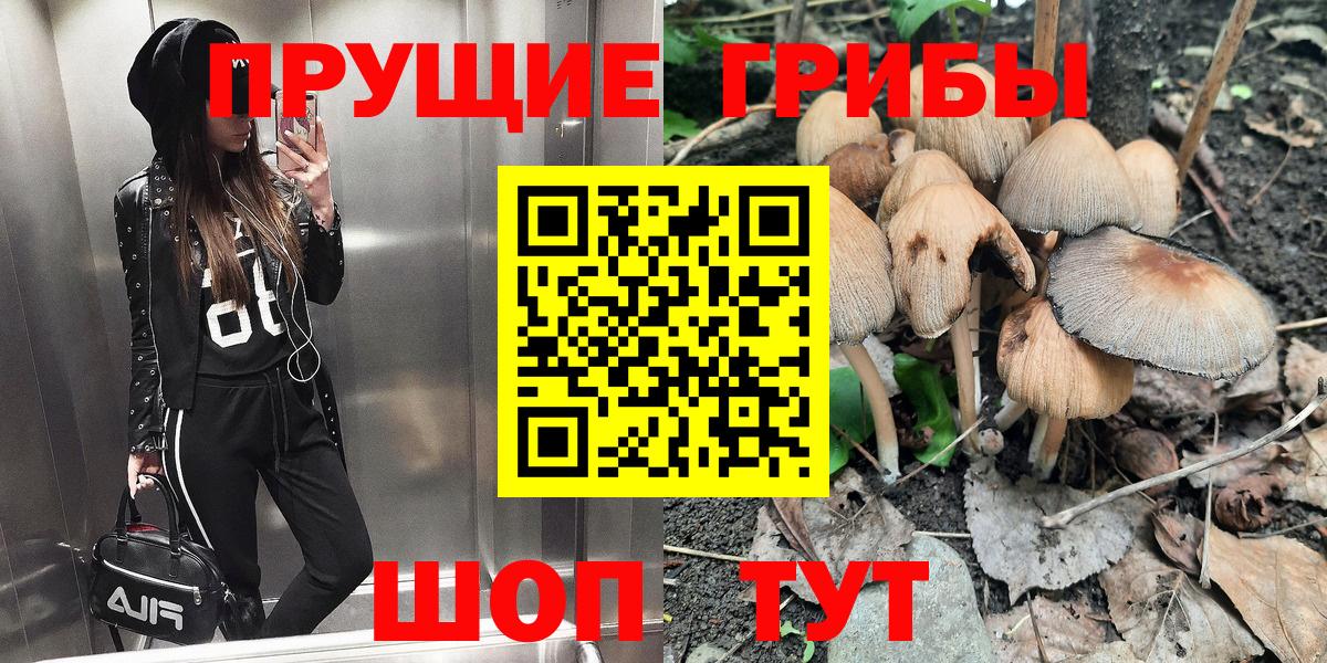 Псилоцибиновые грибы Psilocybe Богородицк