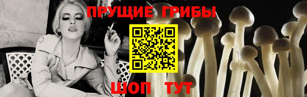Богородицк  Галлюциногенные грибы Cubensis  Вход с VPN 