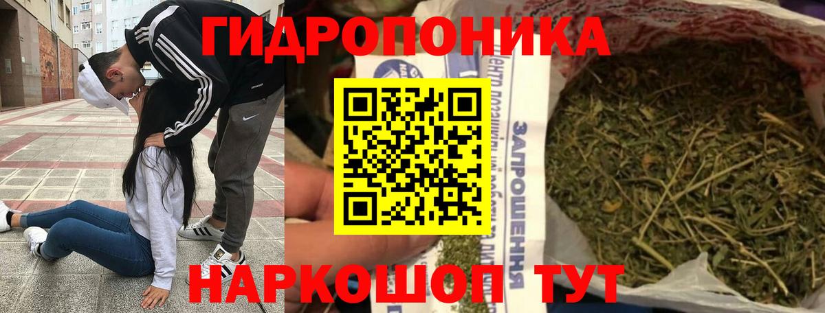 Канабис ГИДРОПОН  Марихуана THC 21%  Богородицк  Бошки марихуана THC 21% 
